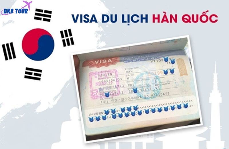 Bước 6: Kiểm tra lại kết quả visa Hàn Quốc để đảm bảo chuẩn xác