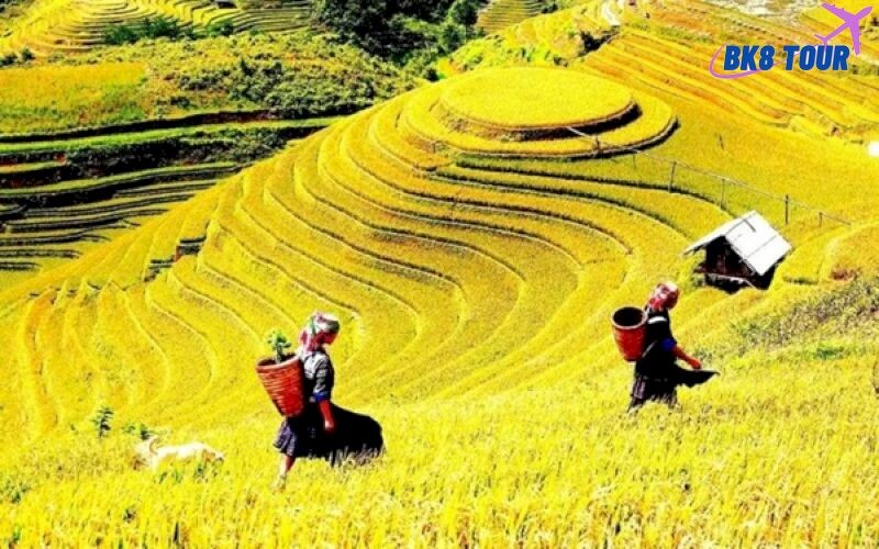 Yên Bái có gì? Tour du lịch Yên Bái hấp dẫn nhất cho du khách