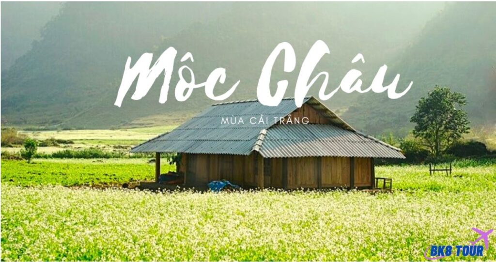 Một số lưu ý cần nhớ khi đi du lịch Mộc Châu