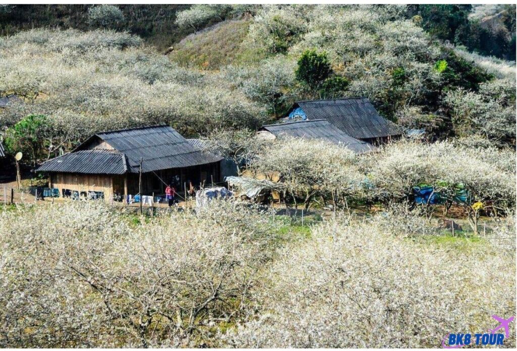 Thung lũng Mận Nà Ka