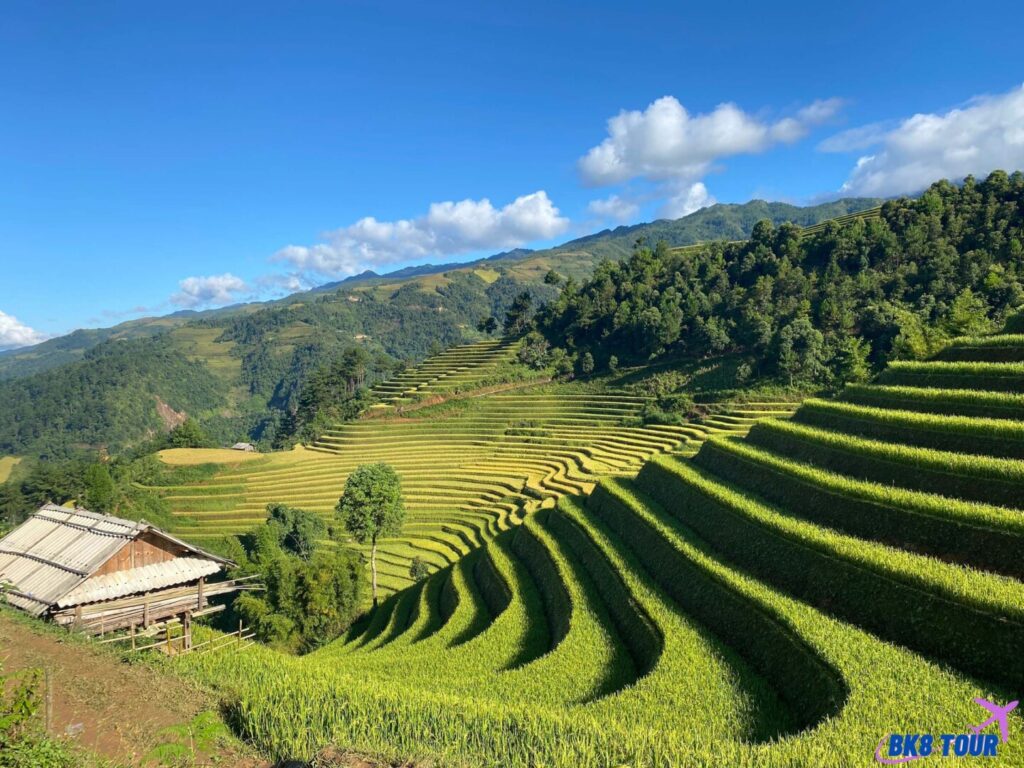 Các tour du lịch nên trải nghiệm tại Yên Bái