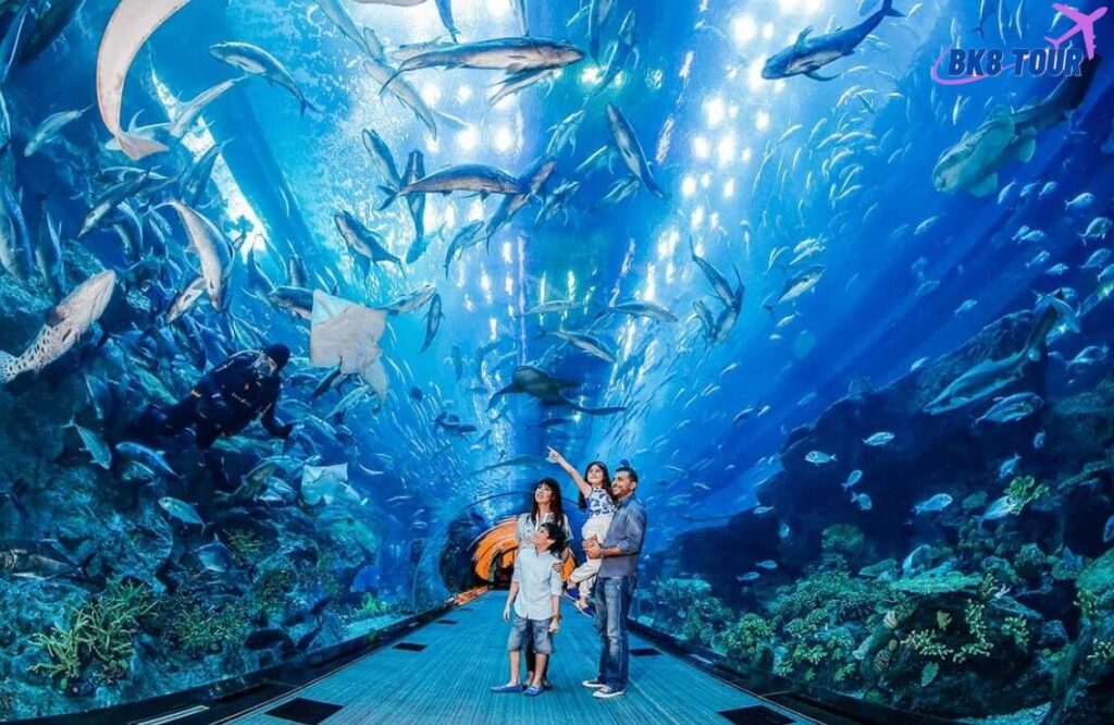 Thủy cung Underwater World là một địa điểm đáng đến khi du lịch Malaysia tự túc