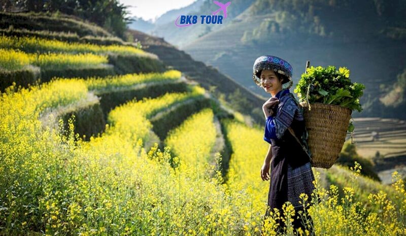 Tour Tây Bắc 4 ngày 3 đêm được nhiều du khách lựa chọn khám phá