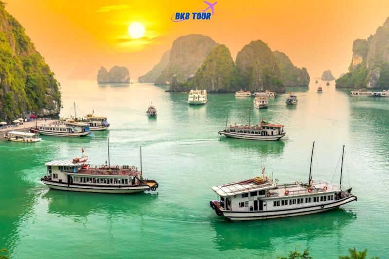 Tour Hạ Long – Những điều cần chú ý khi chọn tour du lịch