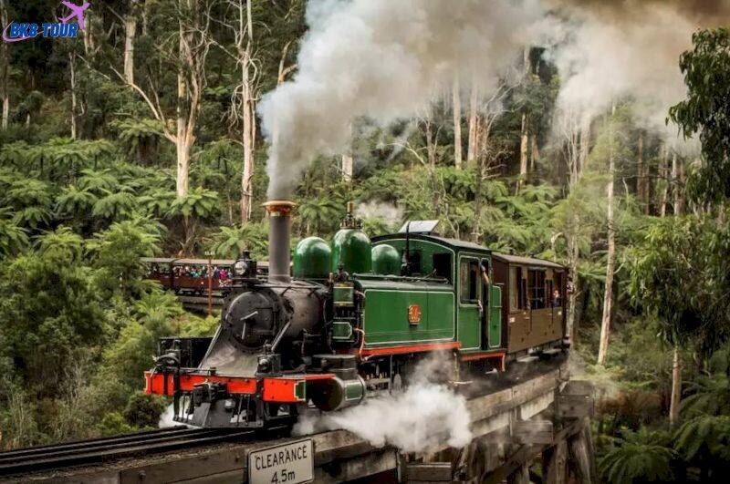 Bạn hãy thử một lần đi tàu hơi nước Puffing Billy khi du lịch Úc nhé!