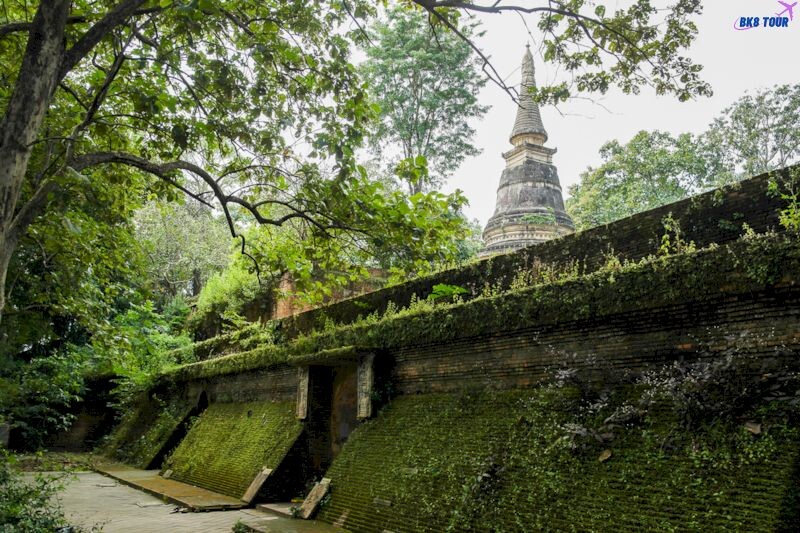 Chùa Wat Umong là địa điểm nên đến khi tới Chiang Mai