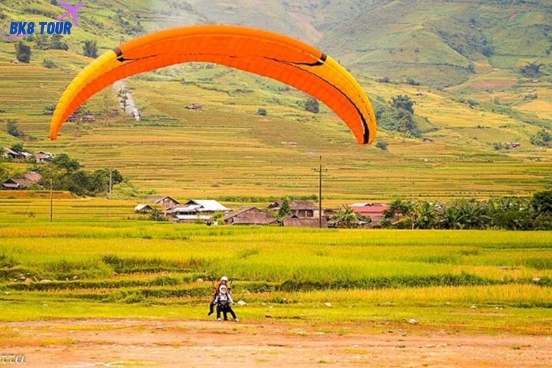 Bay trên mùa vàng tại La Pán Tẩn 