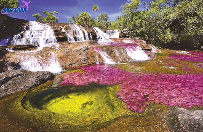 Dòng sông cầu vồng Cano Cristales lạ mắt