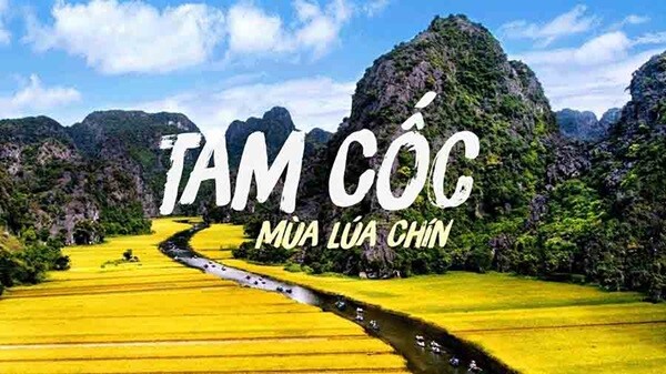 Kinh nghiệm du lịch Ninh Bình ăn gì, ở đâu chi tiết nhất?