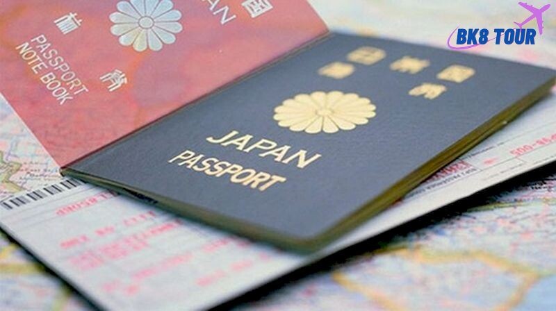 Phạm vi sử dụng của Visa y tế sang Nhật như thế nào?