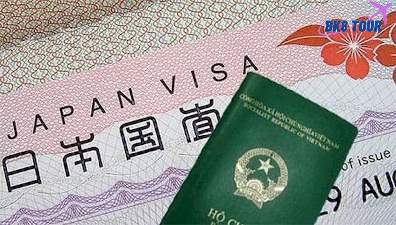 Cần lưu ý gì khi xin Visa y tế sang Nhật hiện nay?