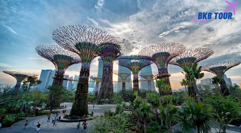 Check in tại Garden by the Bay trong chuyến du lịch Singapore và Malaysia